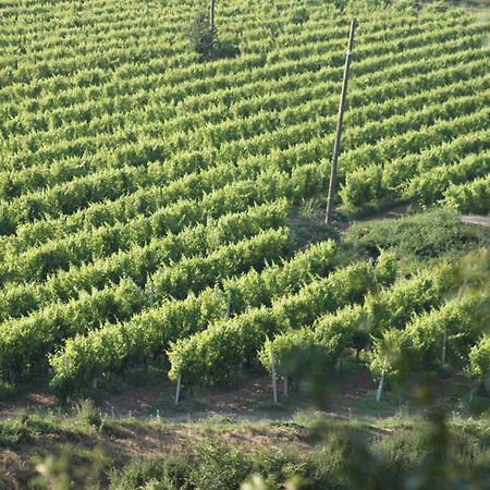 Apartmani Dienes Novi Vinodolski Exteriér fotografie