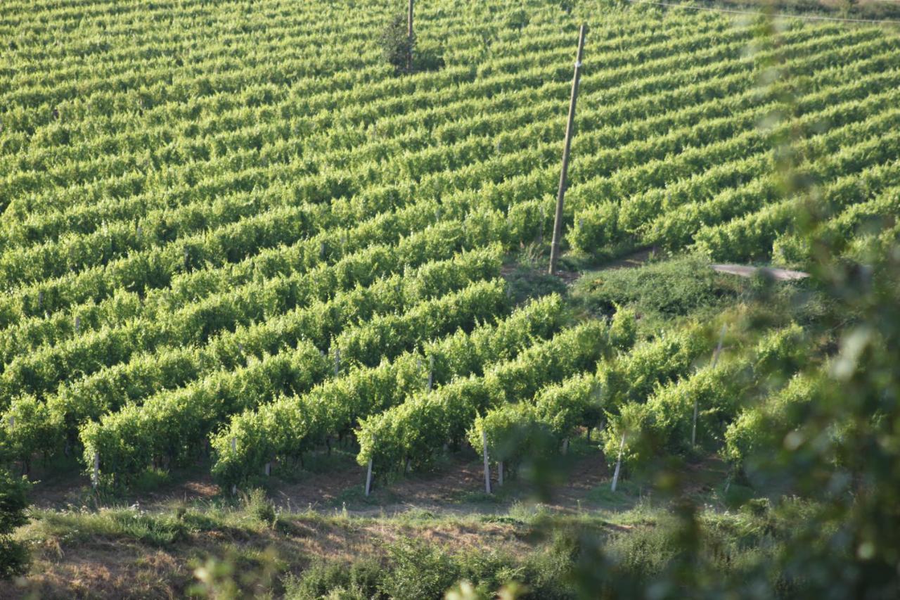 Apartmani Dienes Novi Vinodolski Exteriér fotografie