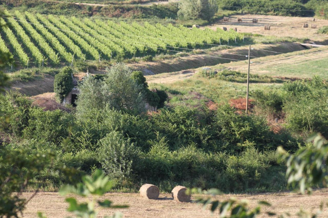 Apartmani Dienes Novi Vinodolski Exteriér fotografie